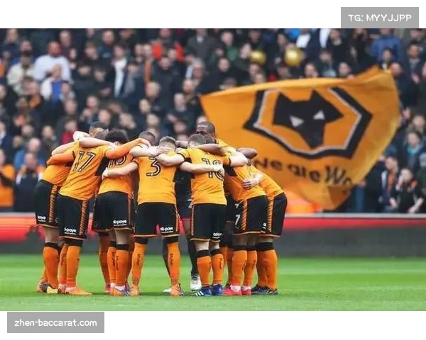 狼队对阵水晶宫 副班长寻求赛季首胜摆脱垫底位置